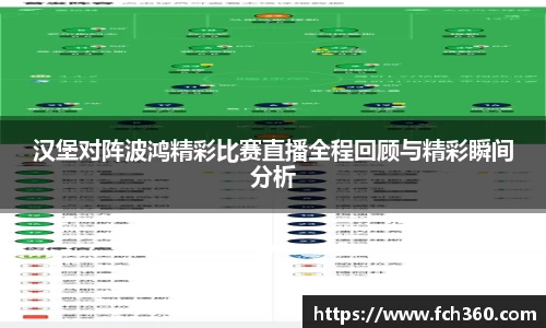 汉堡对阵波鸿精彩比赛直播全程回顾与精彩瞬间分析